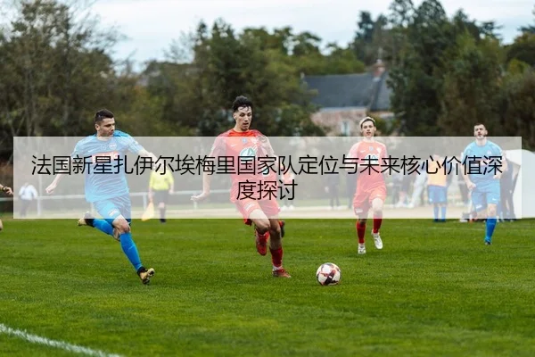 fa-guo-xin-xing-zha-yi-er-ai-mei-li-guo-jia-dui-ding-wei-yu-wei-lai-he-xin-jia-zhi-shen-du-tan-tao-2-503.jpg